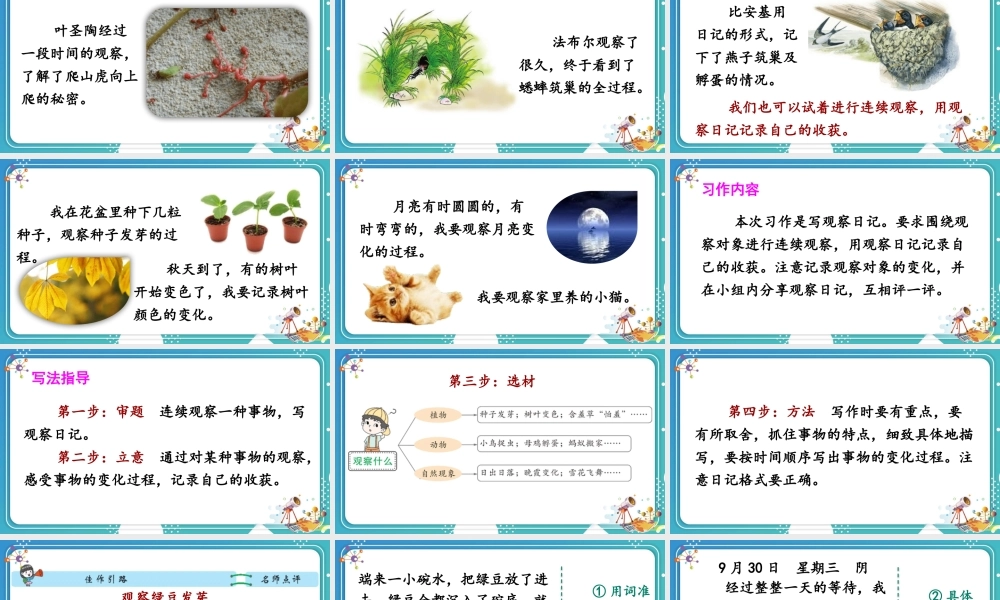 【24统编版】小学语文四年级上册第三单元习作：写观察日记课件