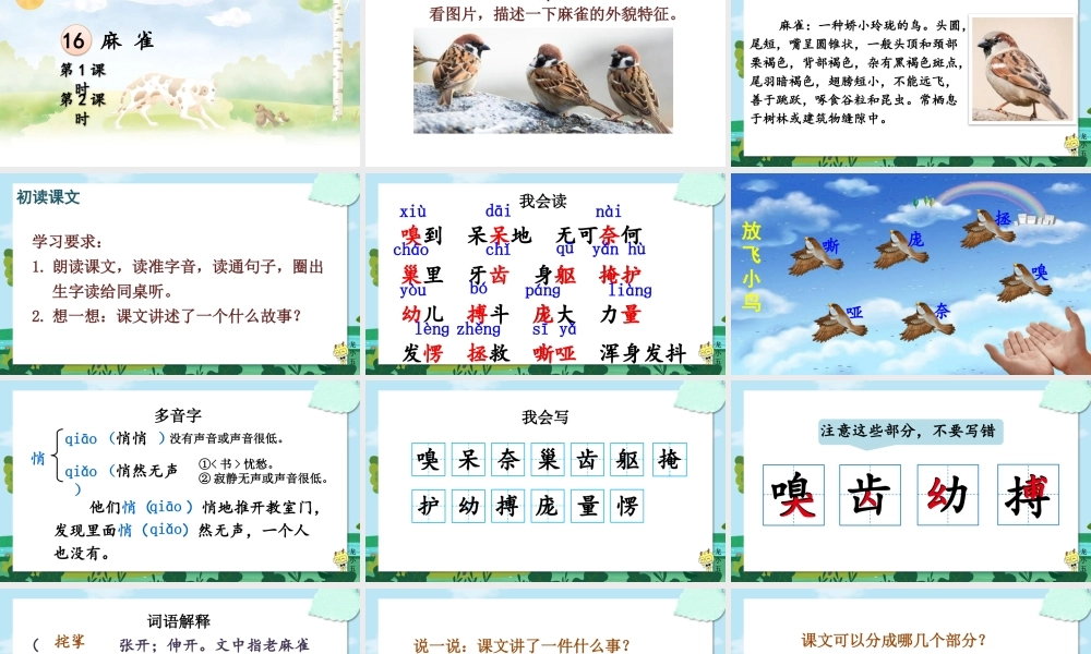 【24统编版】小学语文四年级上册第五单元16 麻雀课件