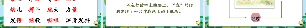 【24统编版】小学语文四年级上册第五单元16 麻雀课件