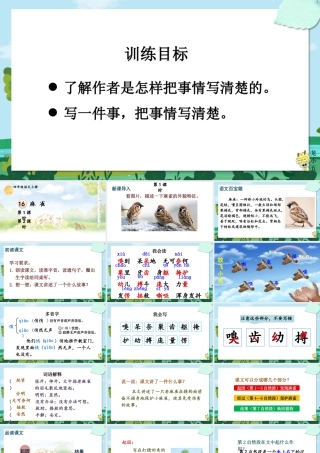 【24统编版】小学语文四年级上册第五单元16 麻雀课件