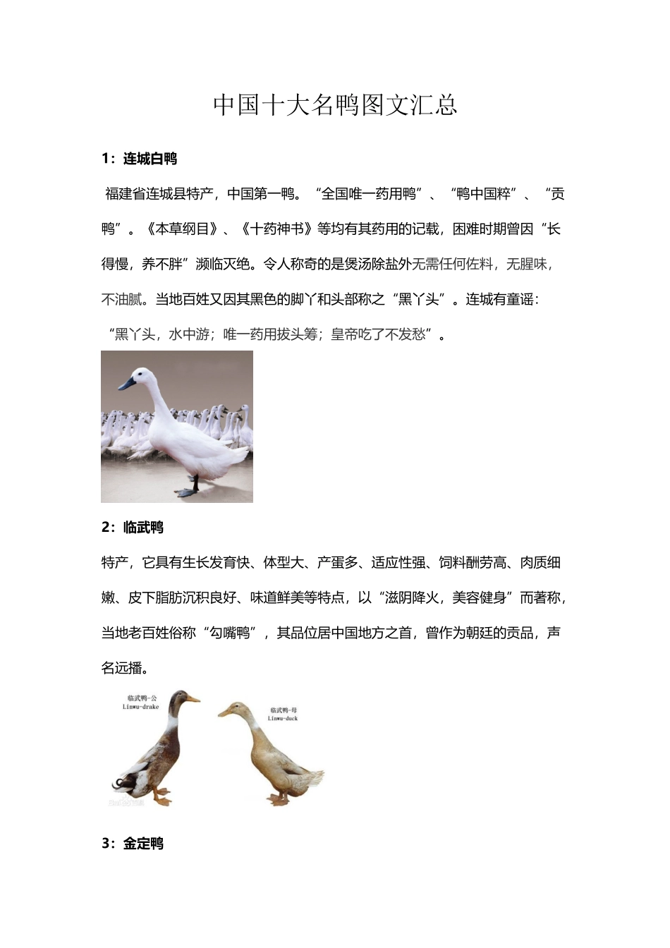 中国十大名牌鸭子图文汇总_第2页
