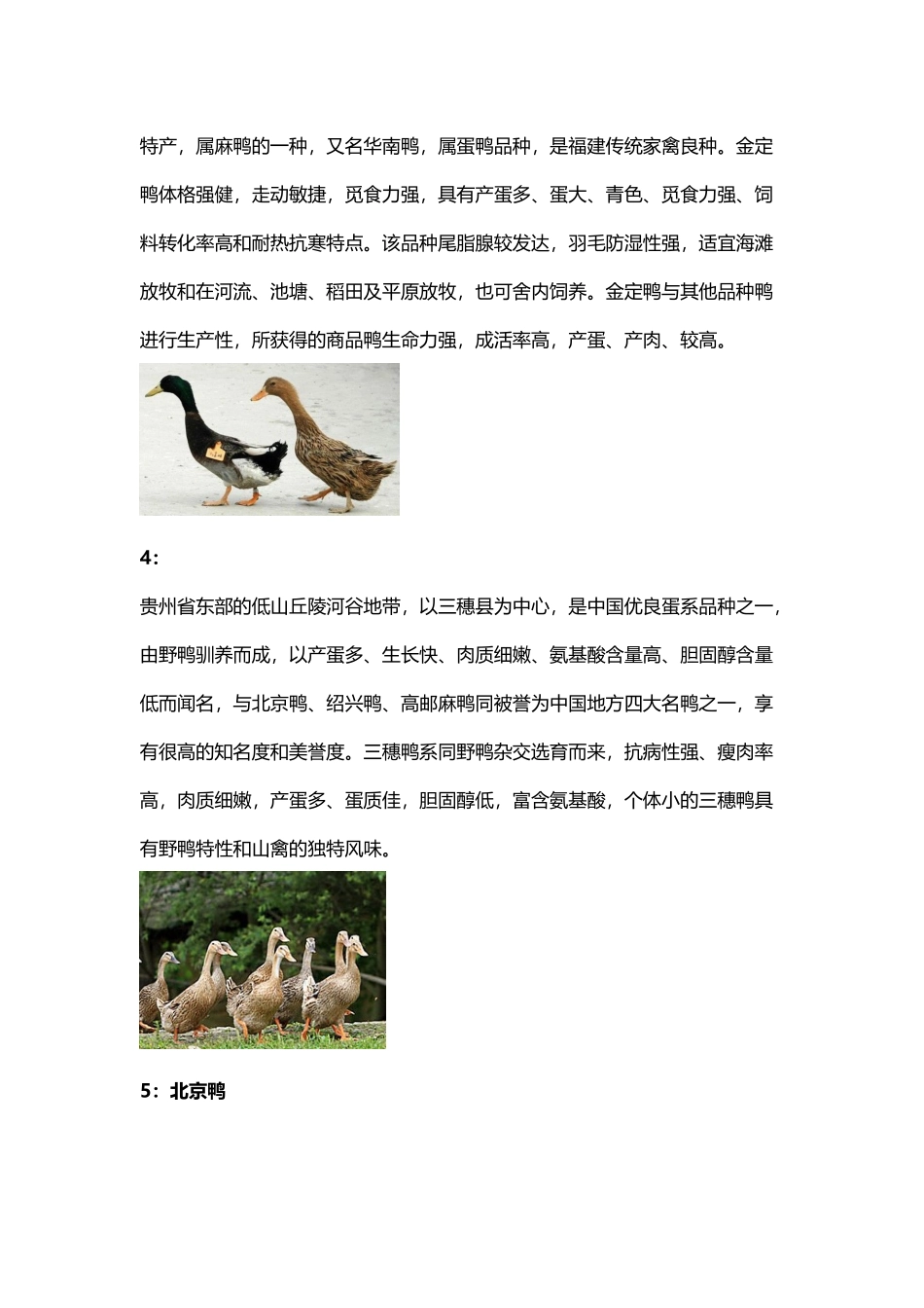 中国十大名牌鸭子图文汇总_第3页
