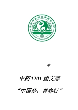 中国梦团日活动策划书