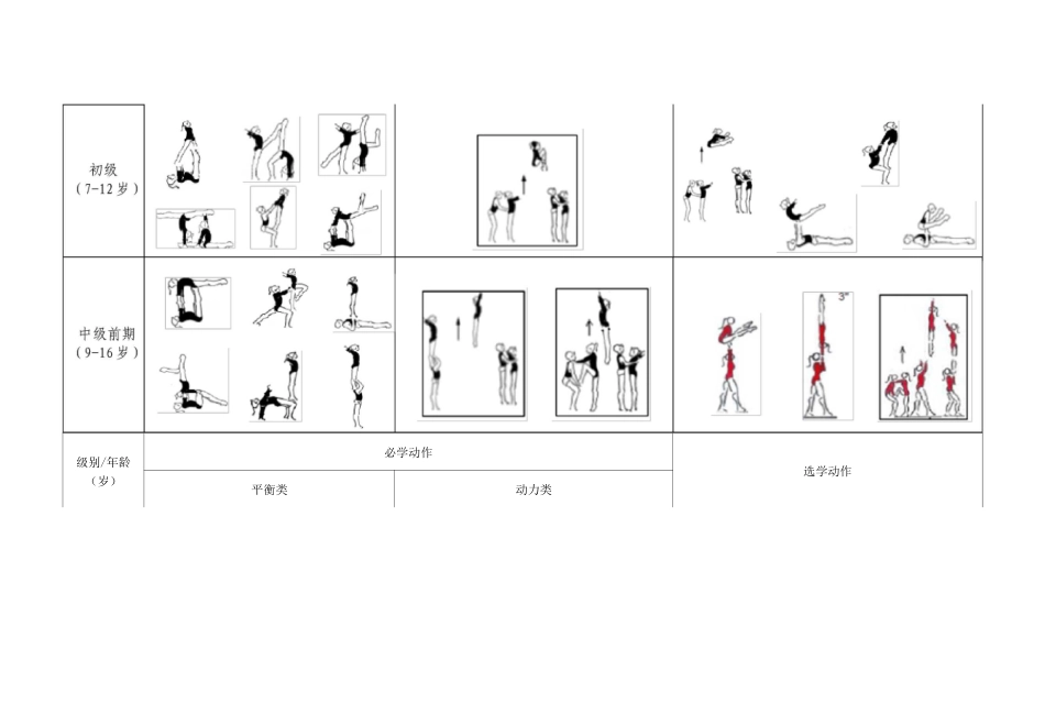 中国青少年技巧教学训练大纲-技术训练主要内容_第3页