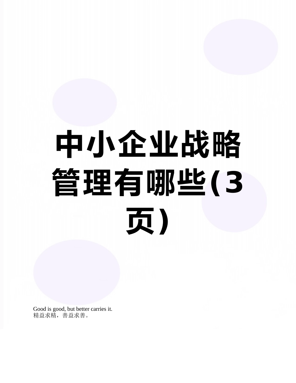中小企业战略管理有哪些_第1页