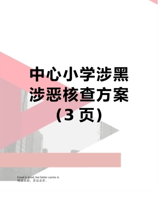中心小学涉黑涉恶核查方案