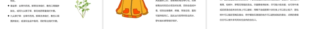 防蛇虫防暑课件