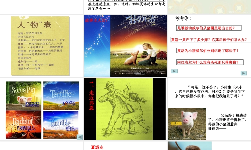《夏洛的网》读书会