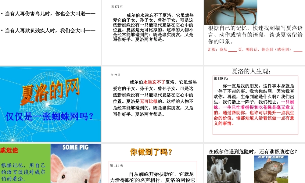 《夏洛的网》读书会
