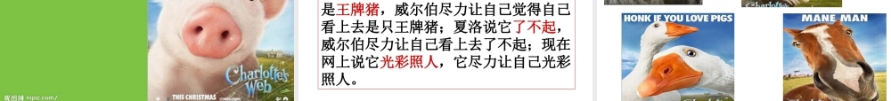 《夏洛的网》读书会