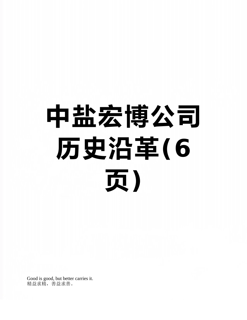 中盐宏博公司历史沿革_第1页