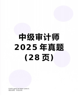 中级审计师2025年真题