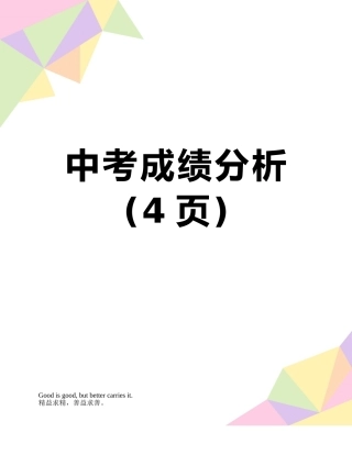 中考成绩分析