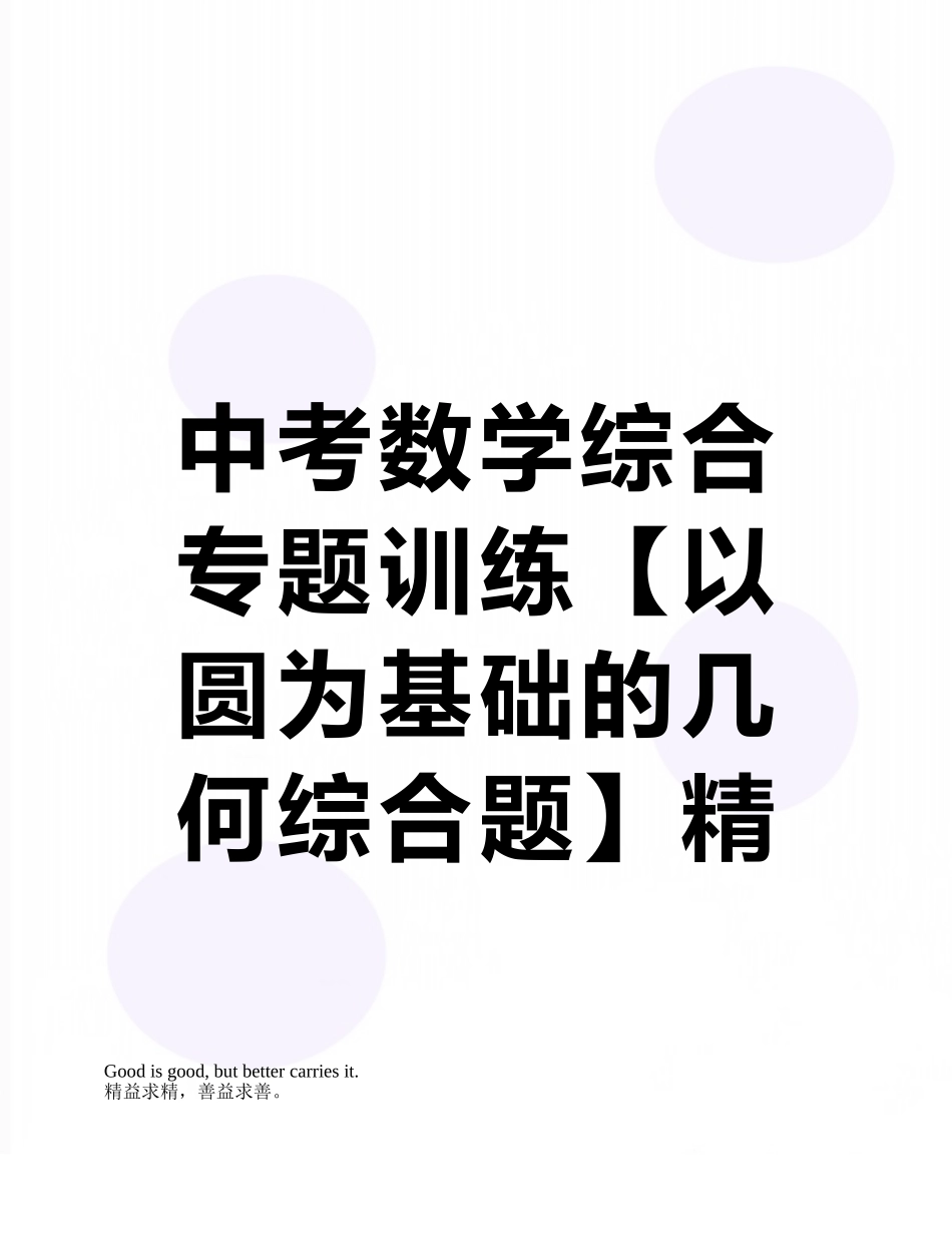 中考数学综合专题训练精品专题解析_第1页