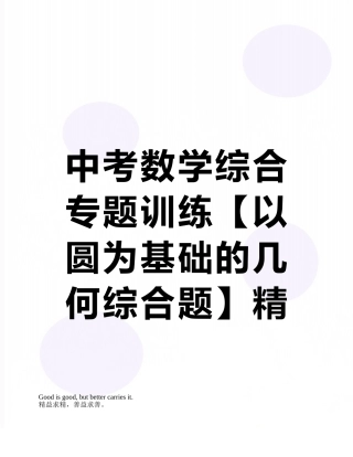中考数学综合专题训练精品专题解析