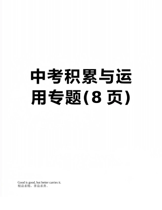 中考积累与运用专题