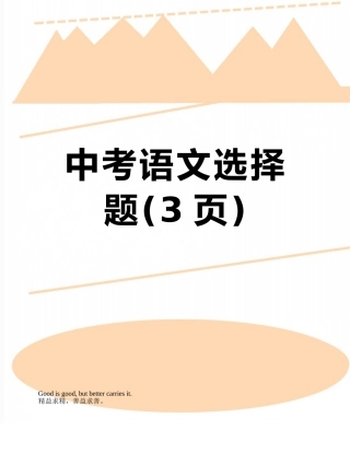 中考语文选择题