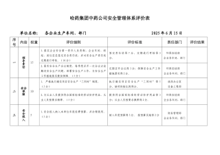 中药公司安全生产管理工作评价表