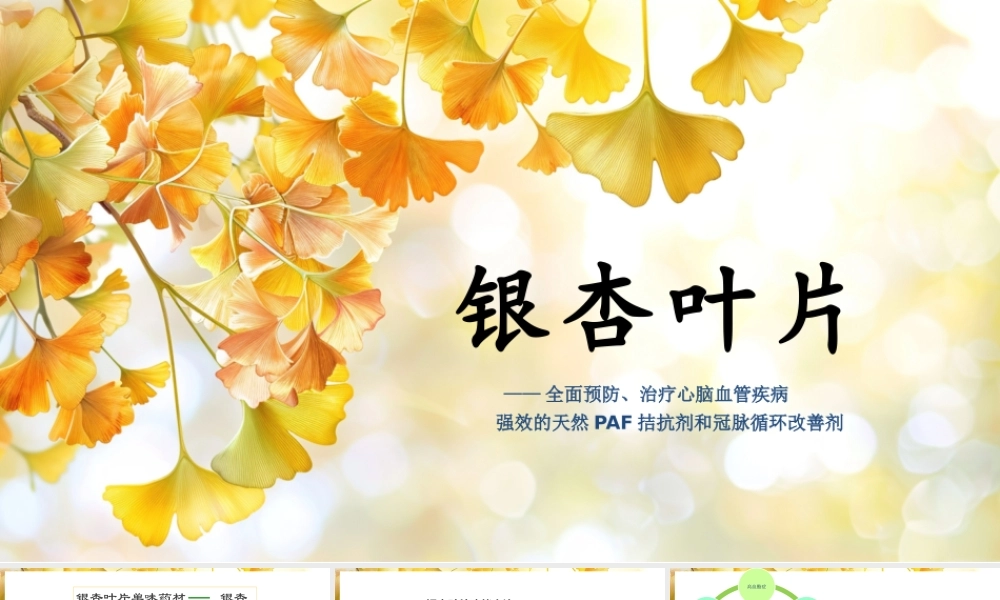 银杏叶药理介绍