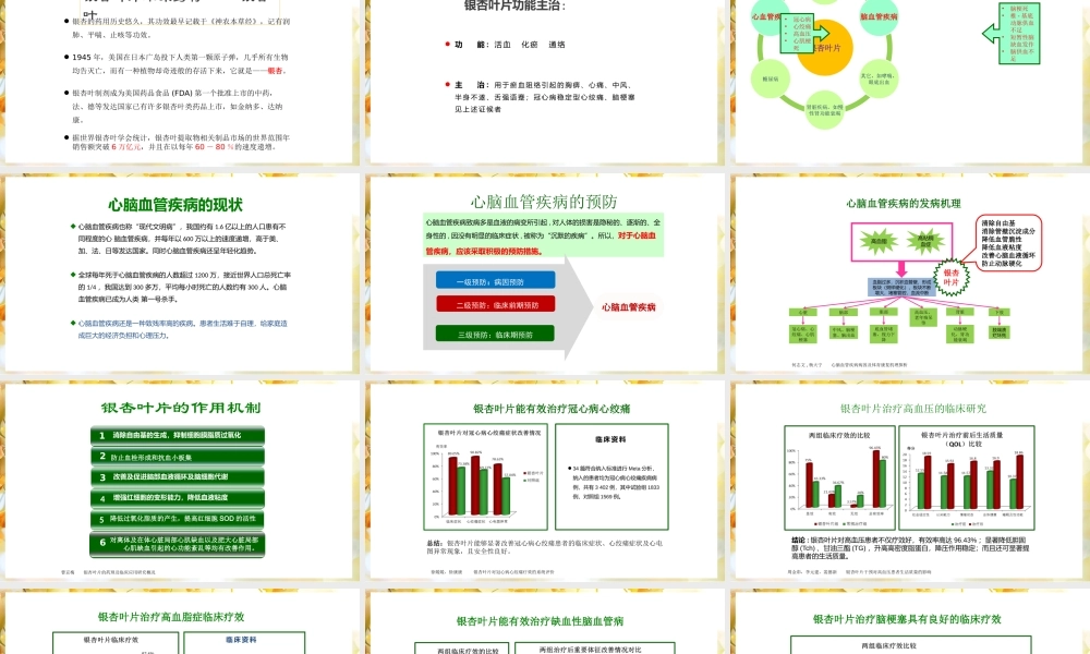 银杏叶药理介绍