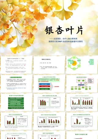 银杏叶药理介绍