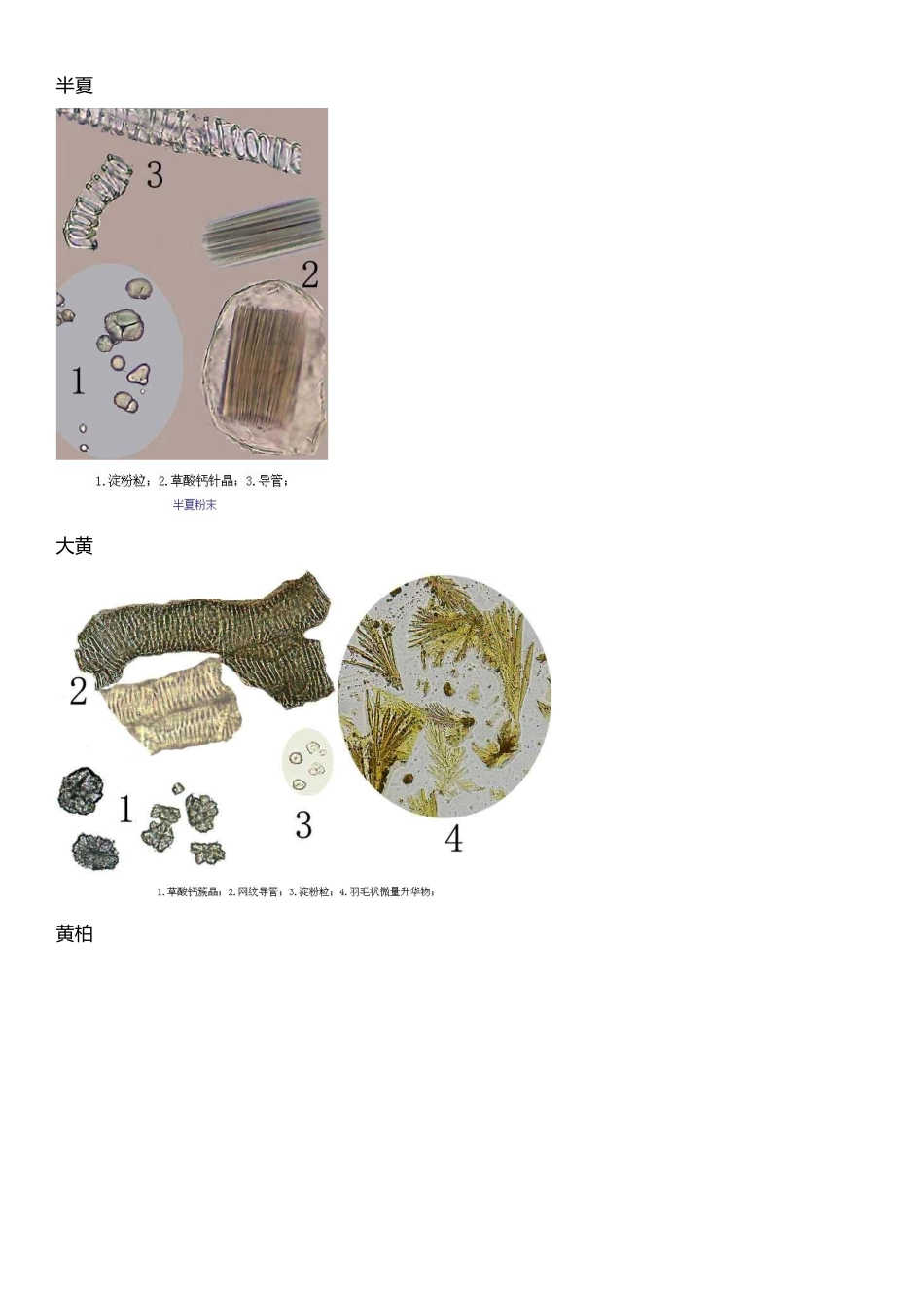 中药粉末显微特征整理_第2页