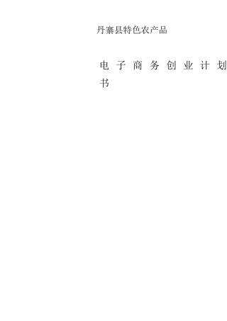 丹寨县农村电子商务创业计划书