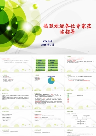 首次会议汇报材料(GMP认证)