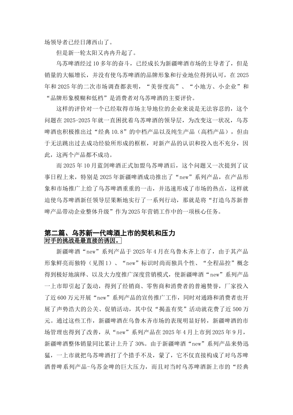 乌苏新一代啤酒策划案例_第3页