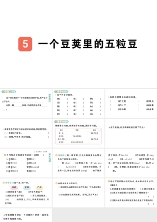 24统编版小学语文四年级上册第二单元5 一个豆荚里的五粒豆-课堂过关练习课件