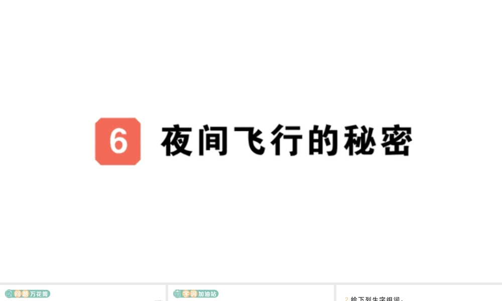 24统编版小学语文四年级上册第二单元6 夜间飞行的秘密-课堂过关练习课件
