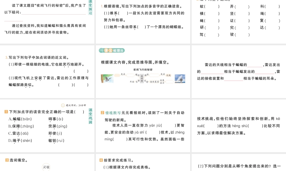 24统编版小学语文四年级上册第二单元6 夜间飞行的秘密-课堂过关练习课件