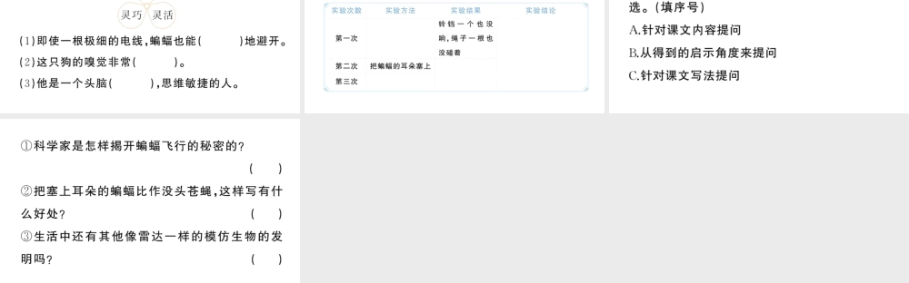 24统编版小学语文四年级上册第二单元6 夜间飞行的秘密-课堂过关练习课件