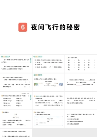 24统编版小学语文四年级上册第二单元6 夜间飞行的秘密-课堂过关练习课件