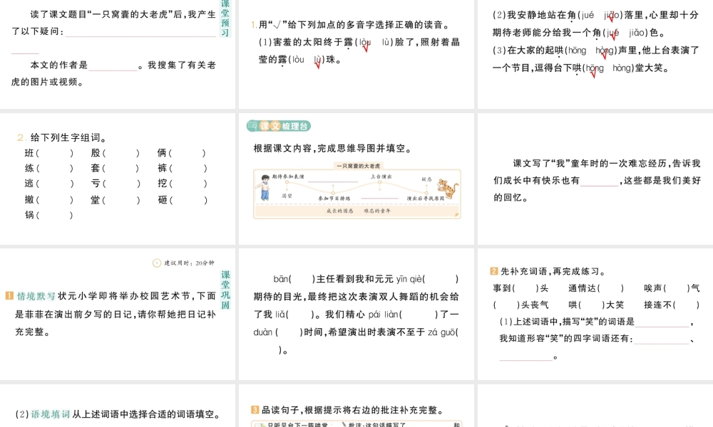 24统编版小学语文四年级上册第六单元19 一只窝囊的大老虎-课堂过关练习课件