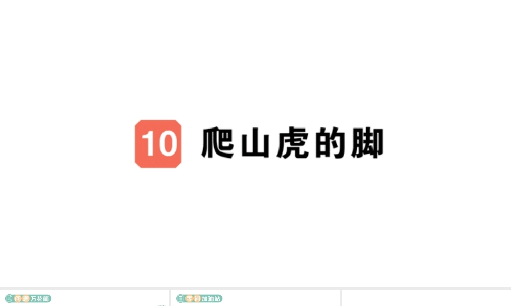 24统编版小学语文四年级上册第三单元10 爬山虎的脚-课堂过关练习课件