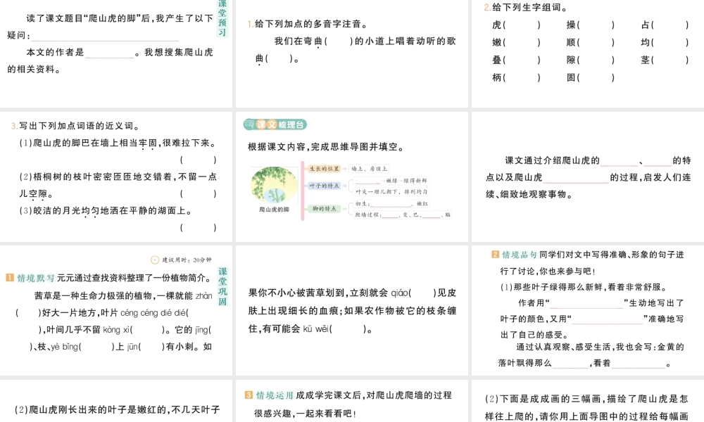 24统编版小学语文四年级上册第三单元10 爬山虎的脚-课堂过关练习课件