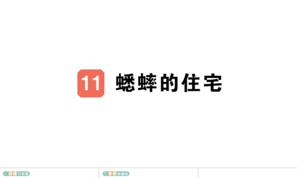 24统编版小学语文四年级上册第三单元11 蟋蟀的住宅-课堂过关练习课件