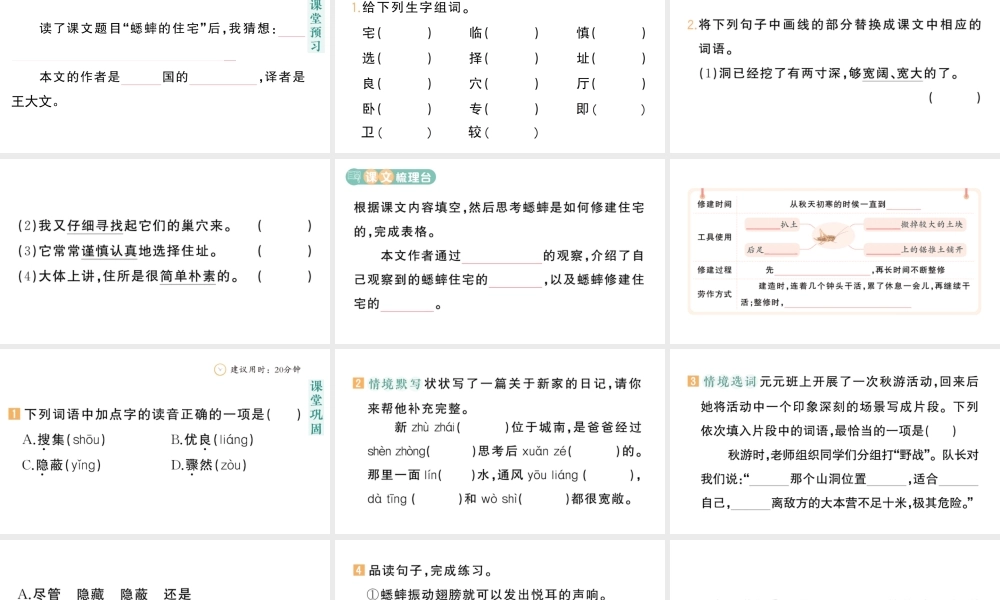 24统编版小学语文四年级上册第三单元11 蟋蟀的住宅-课堂过关练习课件