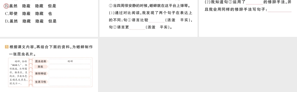 24统编版小学语文四年级上册第三单元11 蟋蟀的住宅-课堂过关练习课件