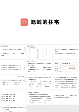 24统编版小学语文四年级上册第三单元11 蟋蟀的住宅-课堂过关练习课件
