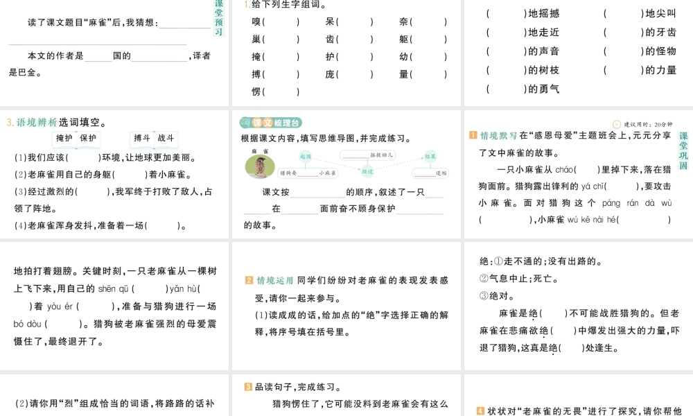 24统编版小学语文四年级上册第五单元16 麻雀-课堂过关练习课件