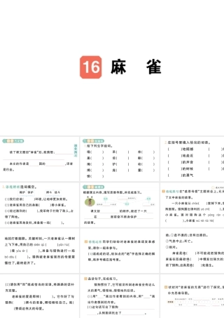 24统编版小学语文四年级上册第五单元16 麻雀-课堂过关练习课件