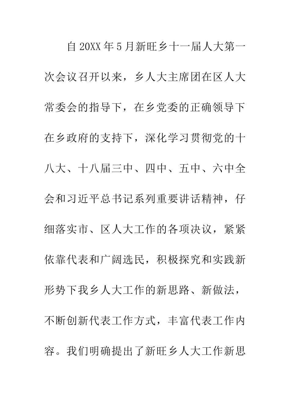 乡人大工作报告_第2页