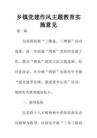 乡镇党建作风主题教育实施意见