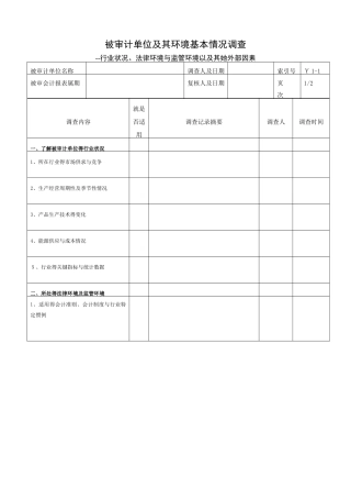 了解被审计单位及其环境工作底稿