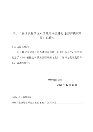 事业单位人员挂帅集体经济公司方案