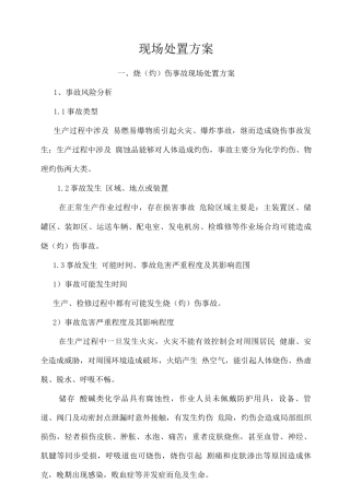 事故现场处置方案
