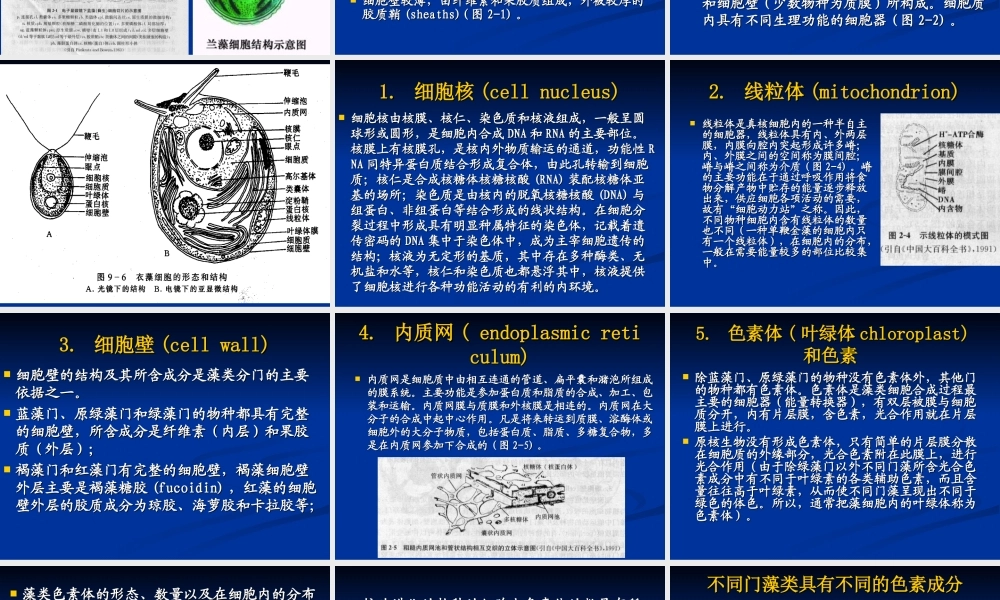第二章-藻类的定义、细胞结构、繁殖、生活史及系统演化