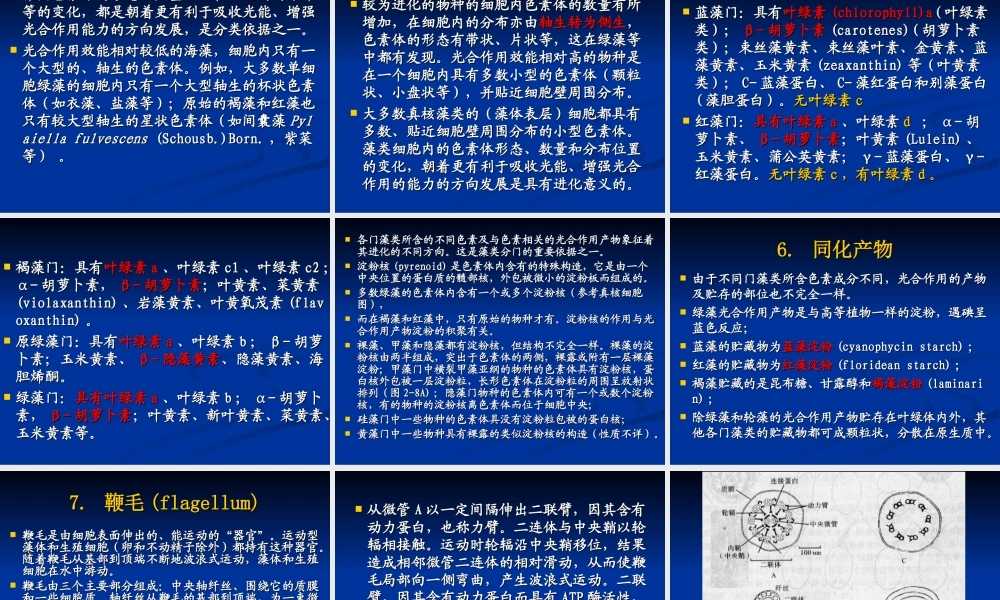 第二章-藻类的定义、细胞结构、繁殖、生活史及系统演化